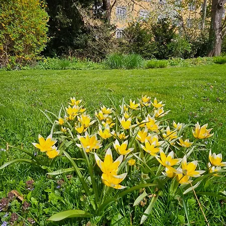 公寓 Red Flat By Grazrentals Direct By & Free Parking 格拉茨