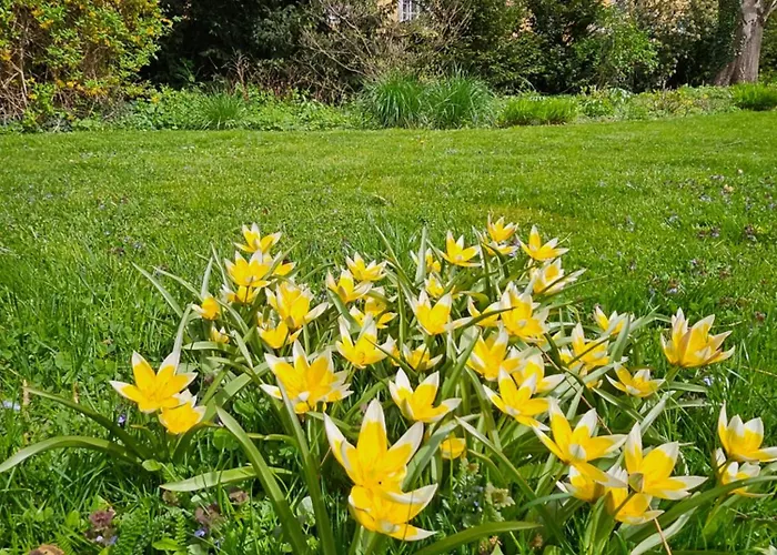 公寓 Red Flat By Grazrentals Direct By & Free Parking 格拉茨